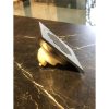 ⁦ניקוז ריצפתי חוסם ריח 10X10 ס"מ ניקל מוברש⁩ – תמונה ⁦3⁩